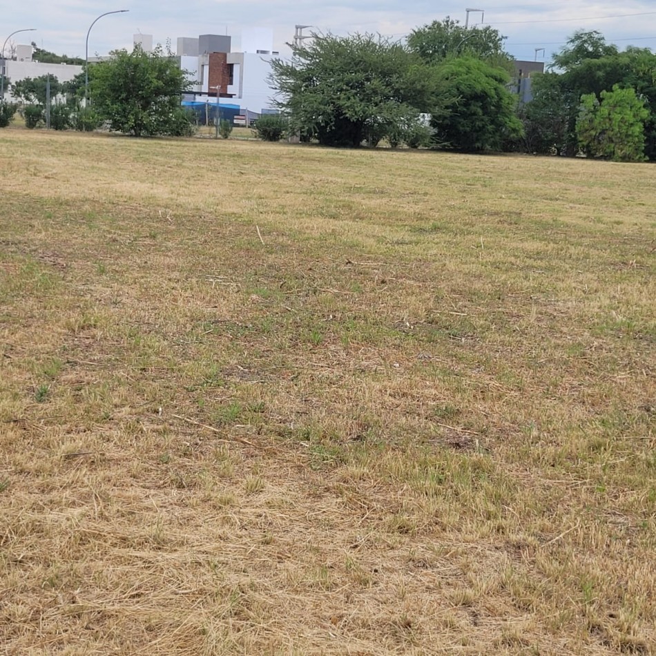 Gran Terreno venta 2has Villa Eucaristica zona Camino San Antonio La Luisita Ideal Housing