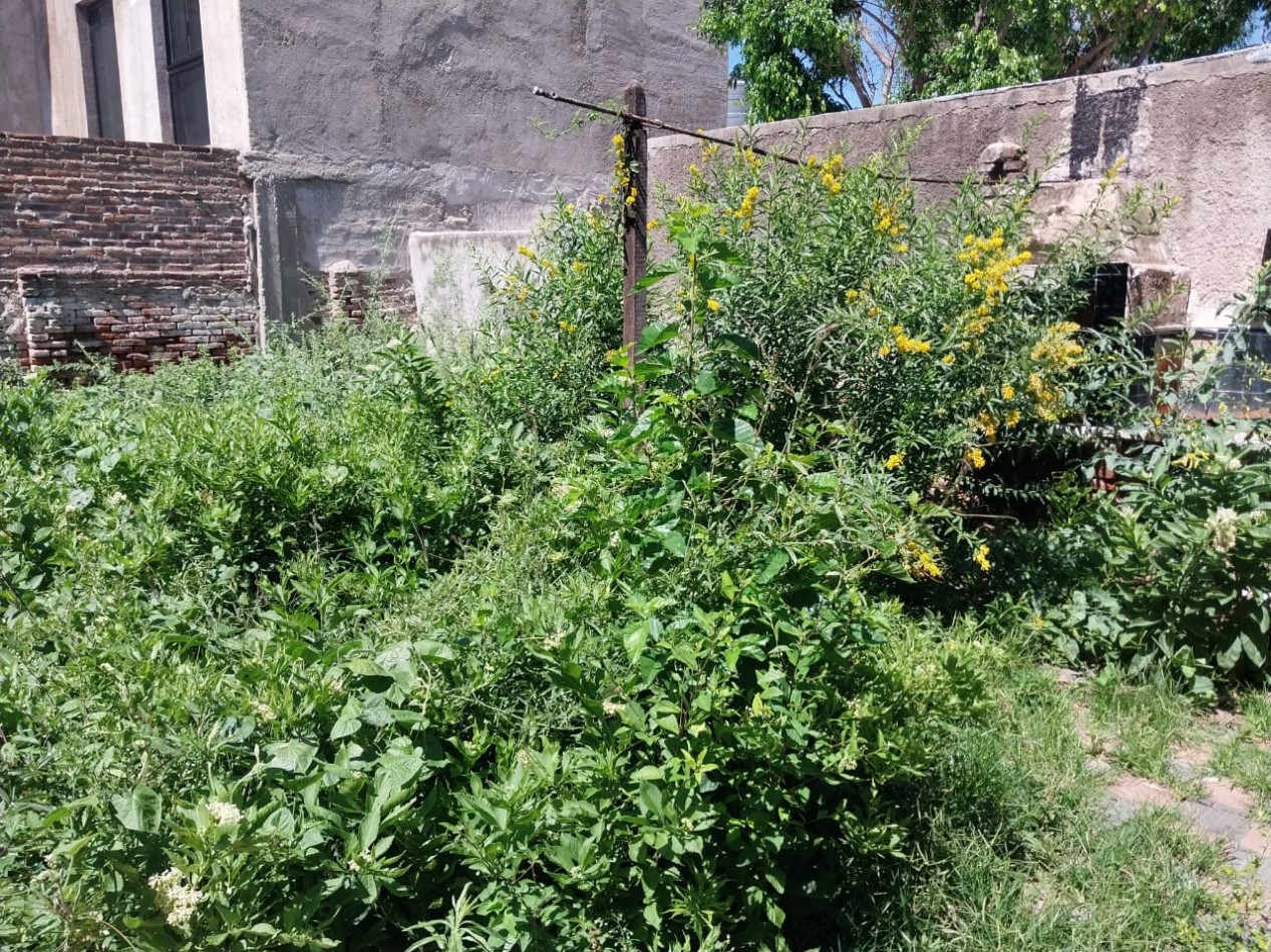 Los Paraisos VENTA casa a RECICLAR zona Alta Cordoba