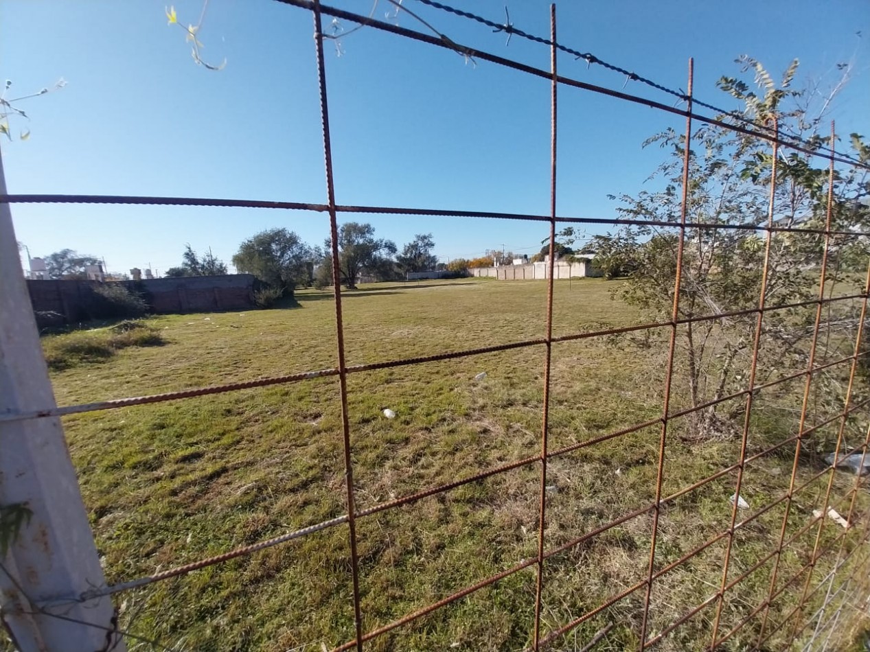 4.900 m2 vendo sobre Pettirossi terreno baldio Villa Aspacia