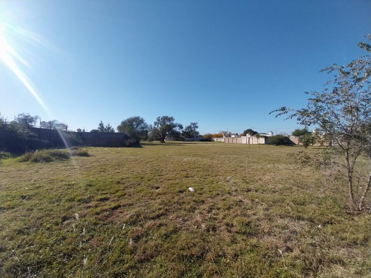 4.900 m2 vendo sobre Pettirossi terreno baldio Villa Aspacia