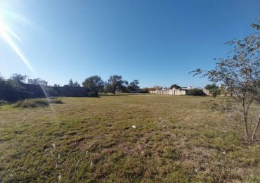4.900 m2 vendo sobre Pettirossi terreno baldio Villa Aspacia